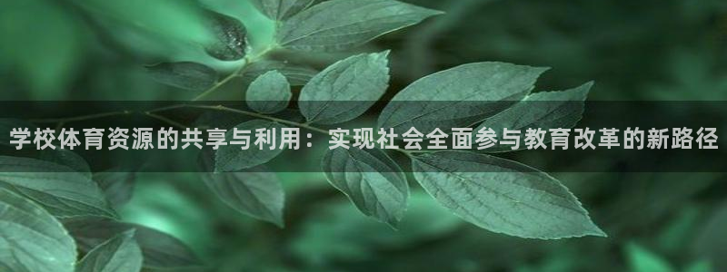 意昂4五金厂：学校体育资源的共享与利用：实现社会全面