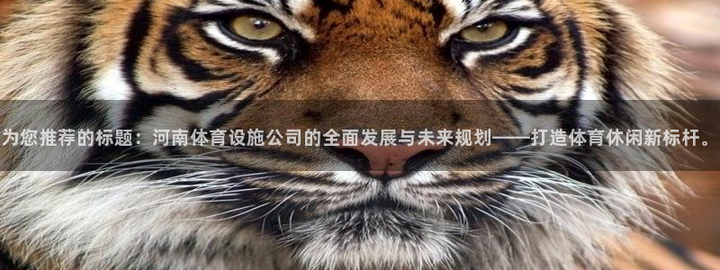 意昂体育4官方客服电话：为您推荐的标题：河南体育设施