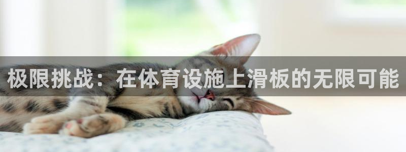 意昂体育4平台：极限挑战：在体育设施上滑板的无限可能