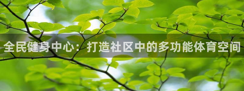 意昂4娱乐平台：全民健身中心：打造社区中的多功能体育