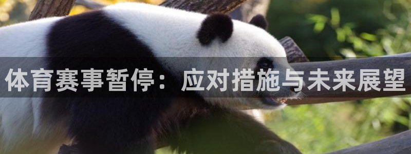 意昂体育4平台注册：体育赛事暂停：应对措施与未来展望