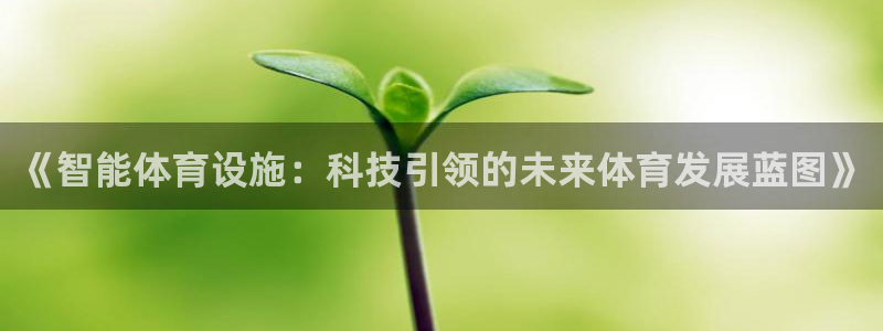 意昂体育4官方客服电话：《智能体育设施：科技引领的未