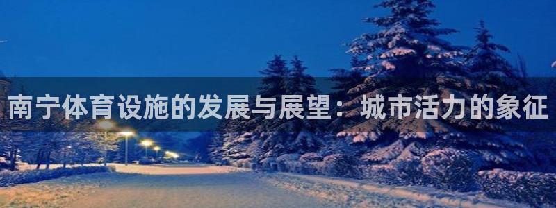 意昂体育4注册：南宁体育设施的发展与展望：城市活力的