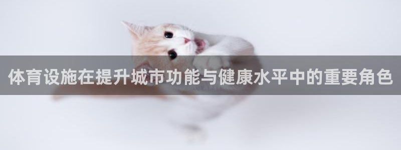 海南意昂体育4：体育设施在提升城市功能与健康水平中的