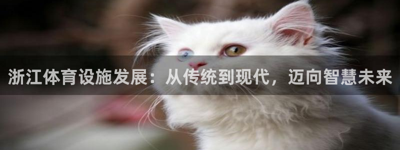 意昂体育4注册：浙江体育设施发展：从传统到现代，迈向