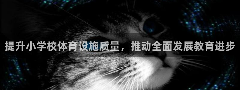 意昂4神州：提升小学校体育设施质量，推动全面发展教育