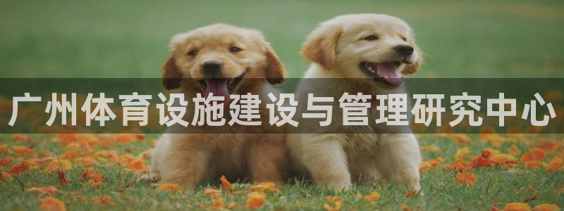意昂4官方：广州体育设施建设与管理研究中心