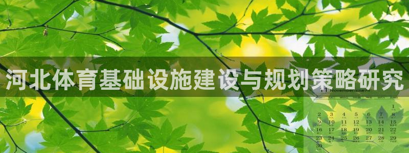 意昂体育4平台：河北体育基础设施建设与规划策略研究
