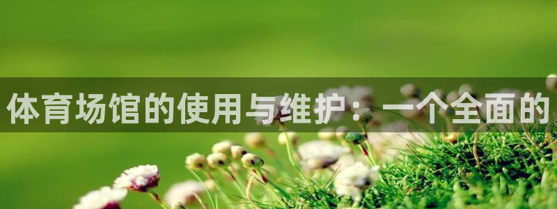 意昂体育4平台注册要钱吗安全吗：体育场馆的使用与维护