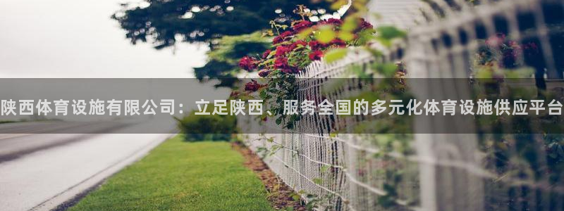 意昂体育4平台是正规平台吗知乎：陕西体育设施有限公司：立足陕