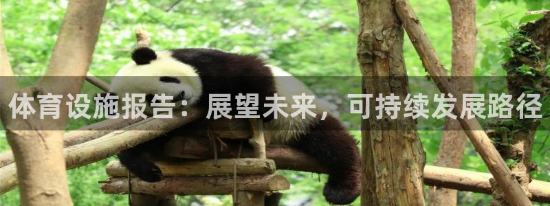 意昂4集团官网网址：体育设施报告：展望未来，可持续发