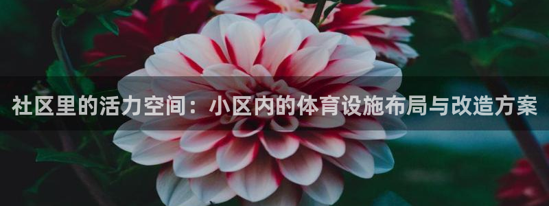 意昂4五金厂：社区里的活力空间：小区内的体育设施布局与改造方