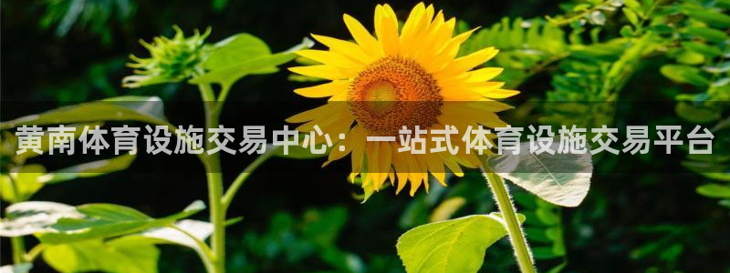 意昂体育4平台注册要钱吗安全吗：黄南体育设施交易中心：一站式 