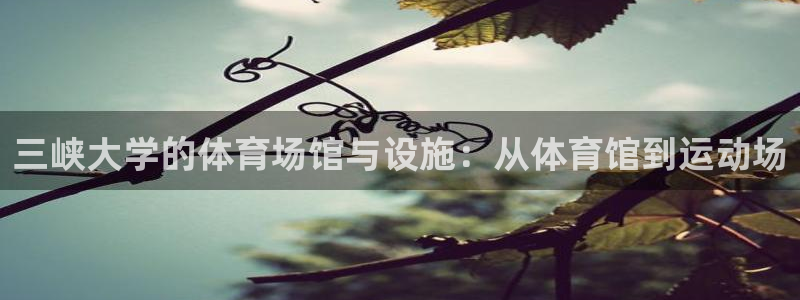 意昂4娱乐网站：三峡大学的体育场馆与设施：从体育馆到