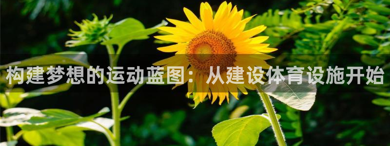 意昂体育4平台：构建梦想的运动蓝图：从建设体育设施开