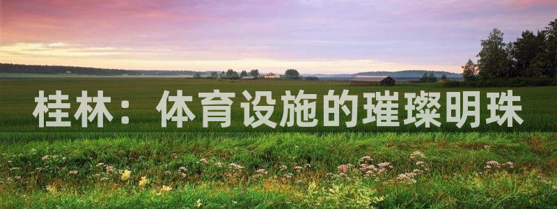 意昂4娱乐下载：桂林：体育设施的璀璨明珠