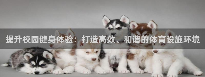 意昂体育4平台APP：提升校园健身体验：打造高效、和