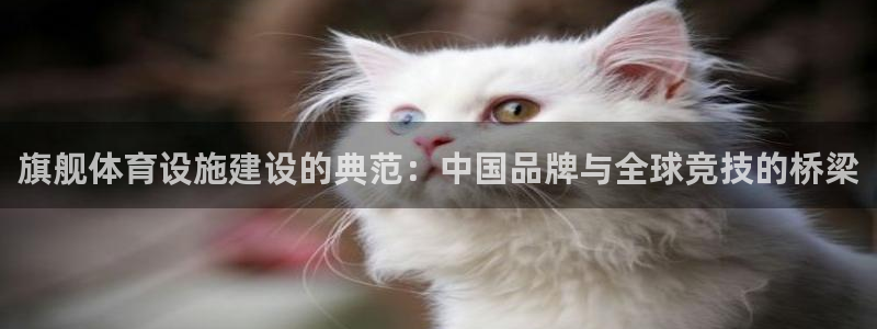 意昂4开户：旗舰体育设施建设的典范：中国品牌与全球竞