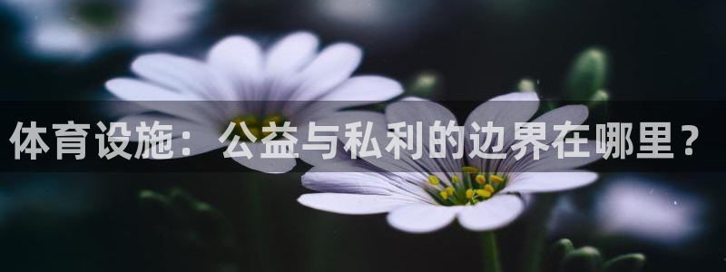 意昂4集团logo：体育设施：公益与私利的边界在哪里