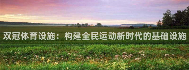 意昂4娱乐平台：双冠体育设施：构建全民运动新时代的基