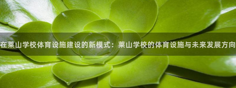 意昂4集团简介：在莱山学校体育设施建设的新模式：莱山