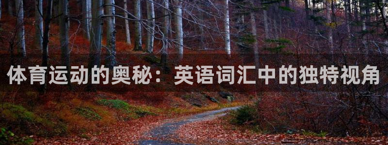 意昂4集团官网网址：体育运动的奥秘：英语词汇中的独特