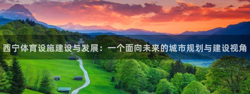 意昂体育4平台：西宁体育设施建设与发展：一个面向未来的城市规