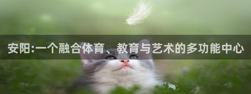 意昂体育4招商电话号码查询：安阳:一个融合体育、教育与艺术的