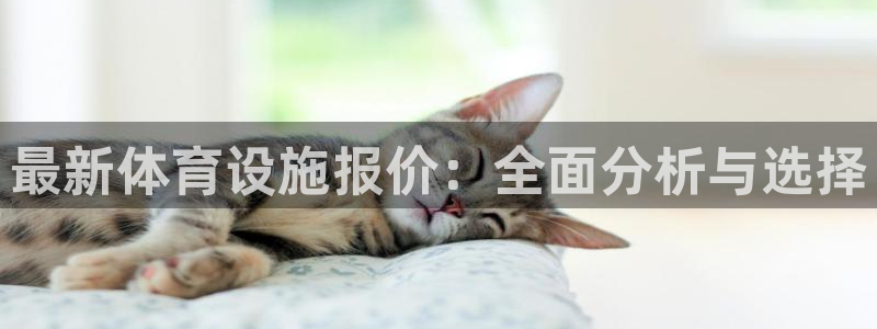 意昂体育4平台注册要钱吗：最新体育设施报价：全面分析与选择