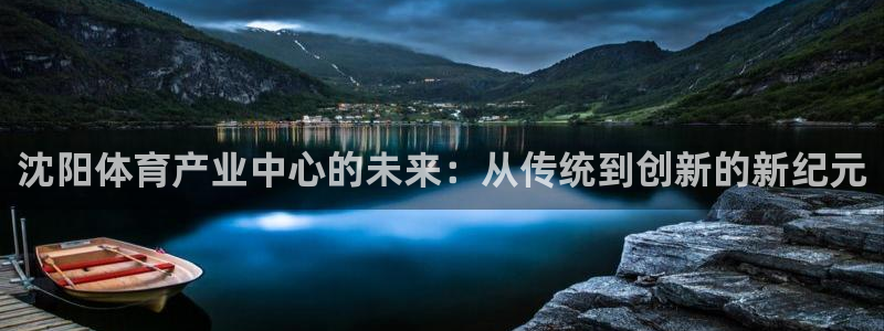 意昂体育4平台注册：沈阳体育产业中心的未来：从传统到创新的新