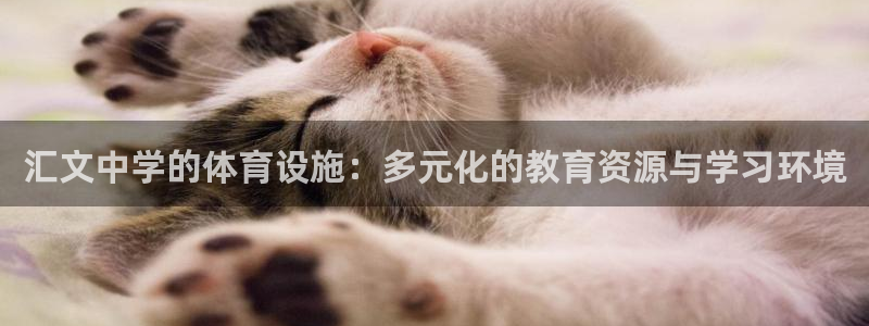 意昂4娱乐：汇文中学的体育设施：多元化的教育资源与学