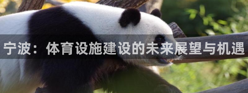 意昂体育4招商：宁波：体育设施建设的未来展望与机遇