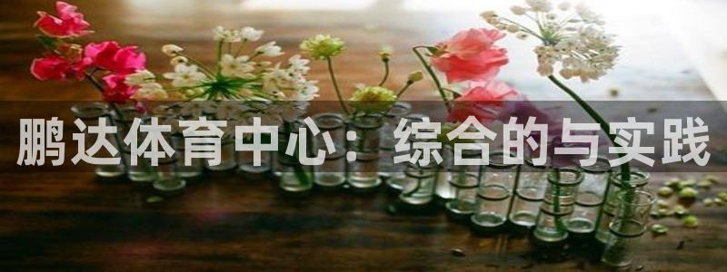 意昂体育4招商电话：鹏达体育中心：综合的与实践