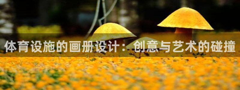 意昂体育4招商电话：体育设施的画册设计：创意与艺术的