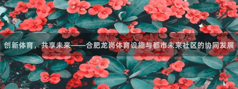 意昂4集团：创新体育，共享未来——合肥龙岗体育设施与