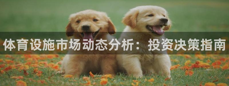 意昂4官方：体育设施市场动态分析：投资决策指南