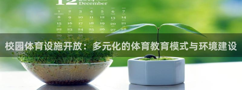 意昂体育4平台：校园体育设施开放：多元化的体育教育模