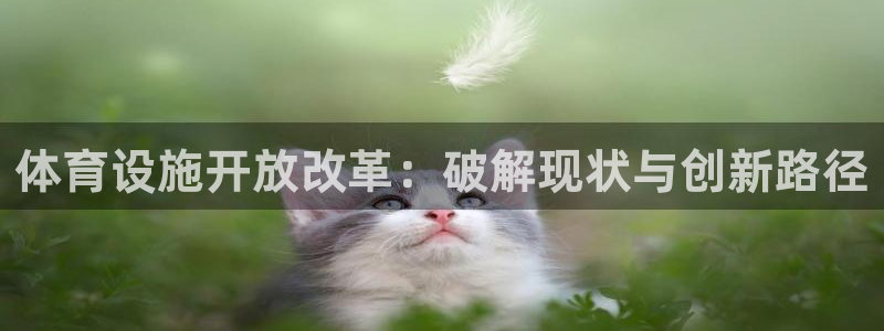 意昂体育4是干嘛的公司：体育设施开放改革：破解现状与