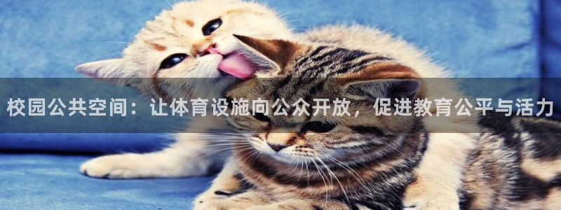 意昂体育4招商电话：校园公共空间：让体育设施向公众开