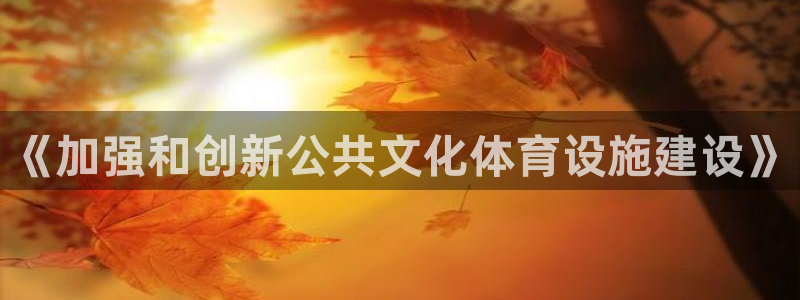 意昂平台体育：《加强和创新公共文化体育设施建设》