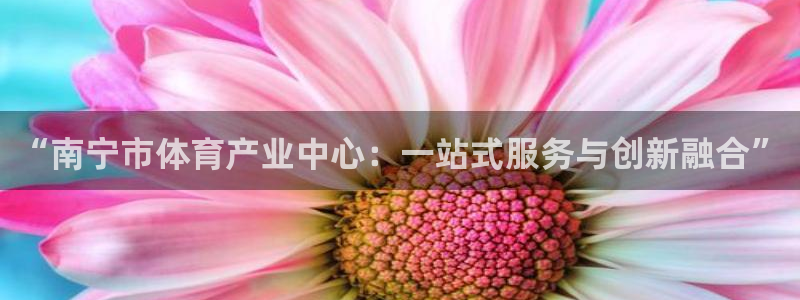 意昂4官网：“南宁市体育产业中心：一站式服务与创新融