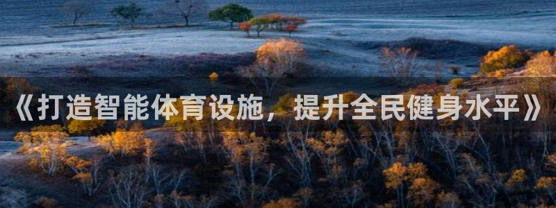 意昂4集团E.ON：《打造智能体育设施，提升全民健身