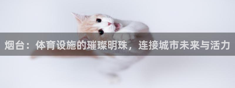 意昂4娱乐首页官网下载：烟台：体育设施的璀璨明珠，连