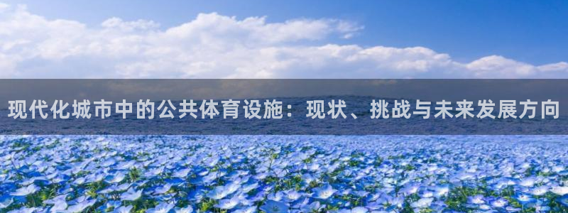 意昂4集团logo：现代化城市中的公共体育设施：现状