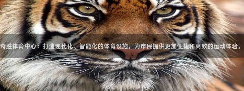 注册意昂4：奇胜体育中心：打造现代化、智能化的体育设