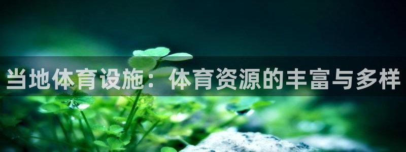 意昂体育4平台注册要钱吗：当地体育设施：体育资源的丰富与多样