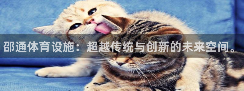 意昂4官方：邵通体育设施：超越传统与创新的未来空间。