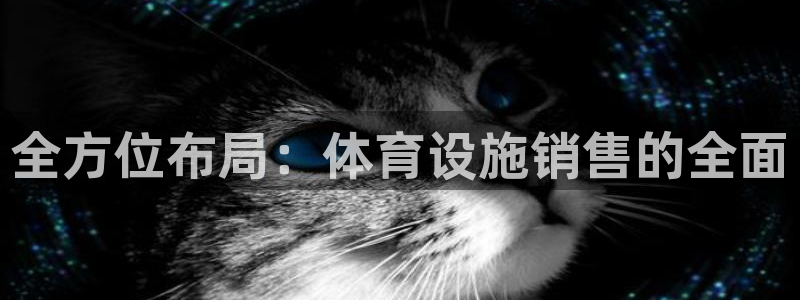 意昂体育4平台注册流程图：全方位布局：体育设施销售的全面