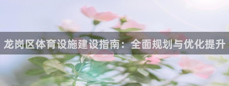 意昂4新能源：龙岗区体育设施建设指南：全面规划与优化提升