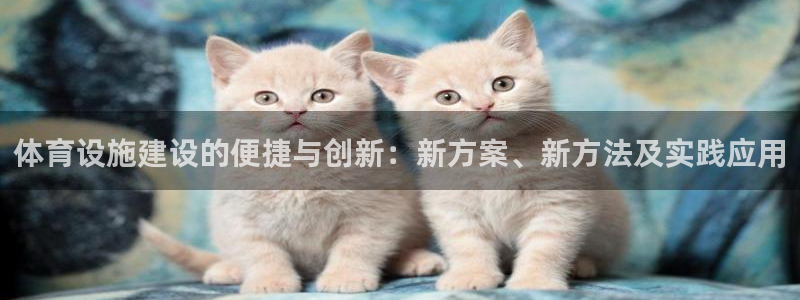 意昂体育4注册：体育设施建设的便捷与创新：新方案、新